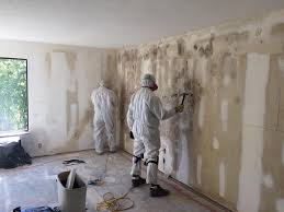 Best Environmental Consulting for Mold Prevention  in Mammoth Spring, AR